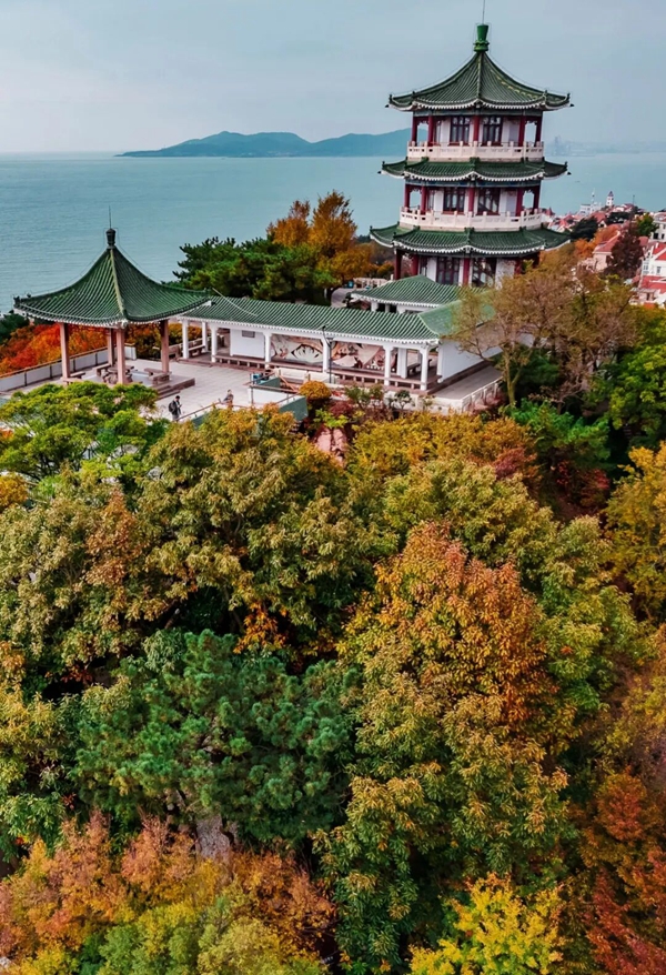 1764321831829050917.jpg 微信图片_2025-11-28_143606_254_副本.jpg