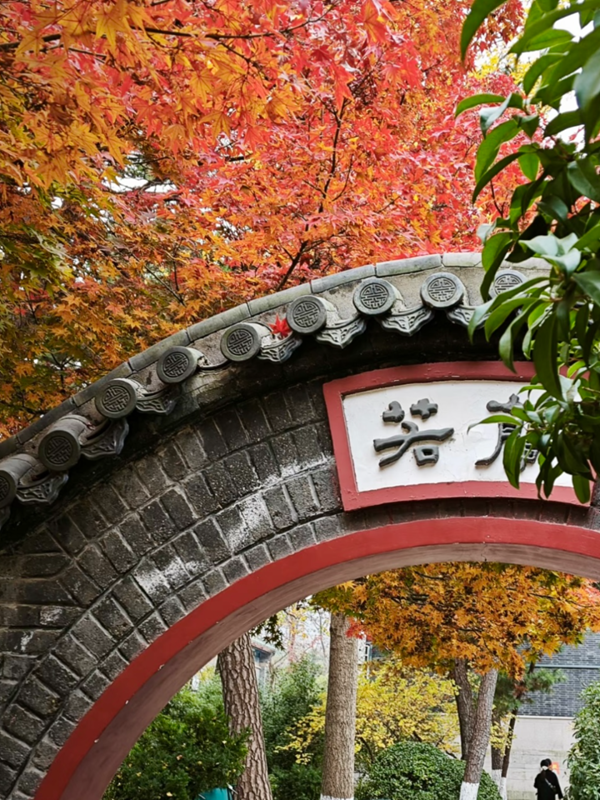 1764321838815002441.png 微信图片_2025-11-28_143624_014_副本.png