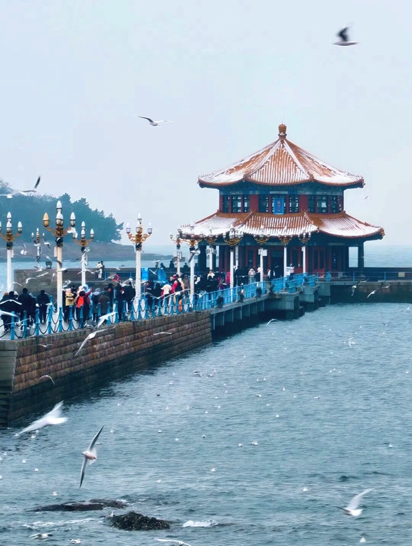 1765791163165024921.jpg 微信图片_2025-12-15_161231_649_副本.jpg