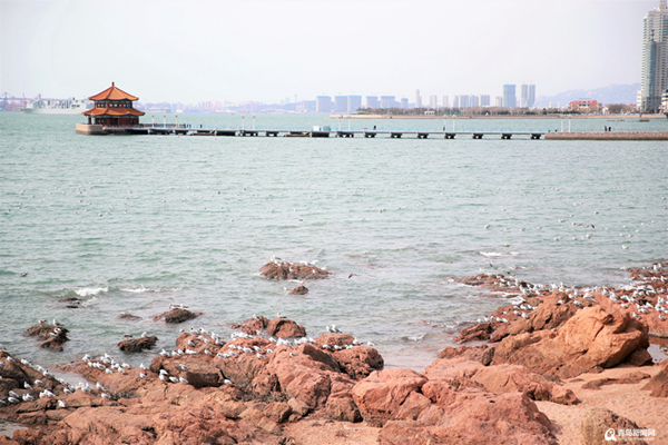 Trestle bridge in Shinan reopens