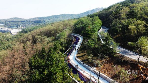 Shinan completes giant greenway