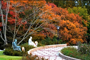 Baihua Garden: Winter kaleidoscope of nature's beauty