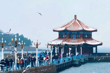 Qingdao's first snow makes Shinan winter wonderland