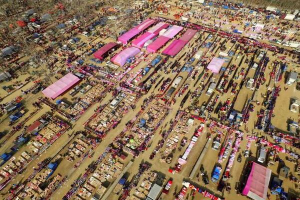 Nobel prize winner explores fair in Qingdao