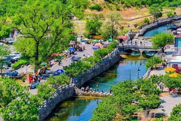 Qingdao WCNA drives rural vitalization