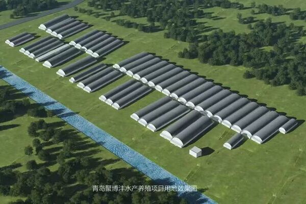 New project to unveil marine fisheries revolution in Qingdao