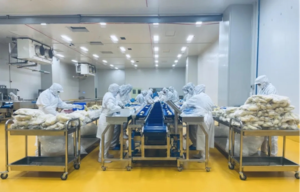 Durian super factory unveiled in Qingdao WCNA