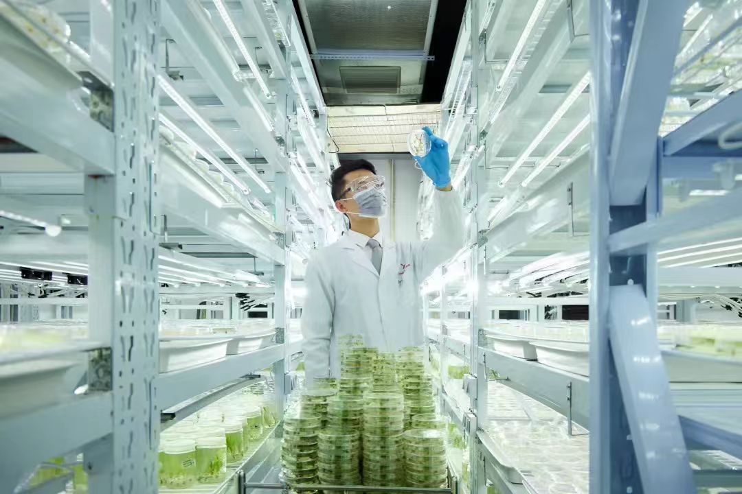 KingAgroot joins national key laboratory network for bio-breeding