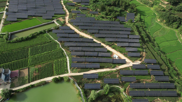 1743650440850000189.jpg 济宁英文网_600.jpg