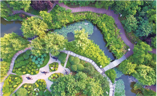 Tai'an's conservation efforts: Harmony of nature, innovation