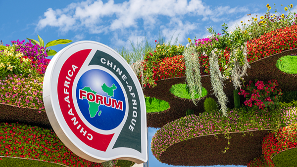 1749784361582046910.png 684a1f03a310a04a967a177d_600.png