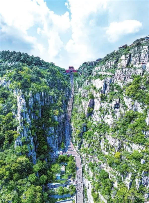 1754378877841076957.png 10-TA-3.webp_副本.png