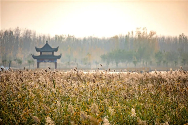 Winter's serenity: Tranquil beauty of Dongping Lake in Tai'an
