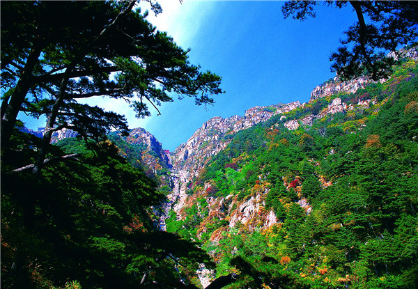 Tai'an delivers historic environmental gains through decisive action