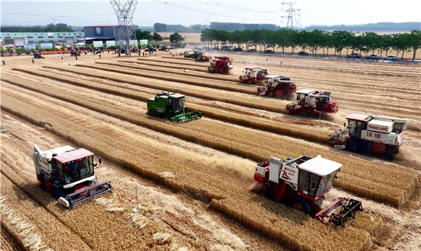 Tai'an strengthens farming, rural vitalization efforts