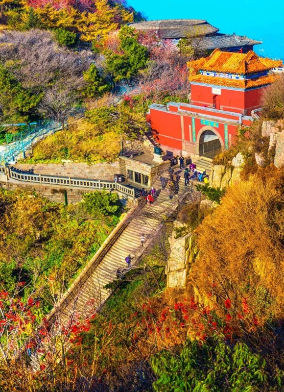 1765333640322041442.png 12-泰安-好客山东之声-2.webp_副本.png