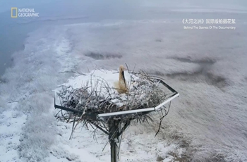 Behind the scenes: Filming birdlife at Yellow River Delta