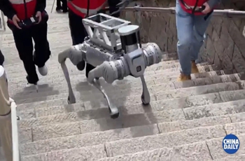 Robot dogs get ready for new job