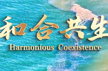 Harmonious coexistence