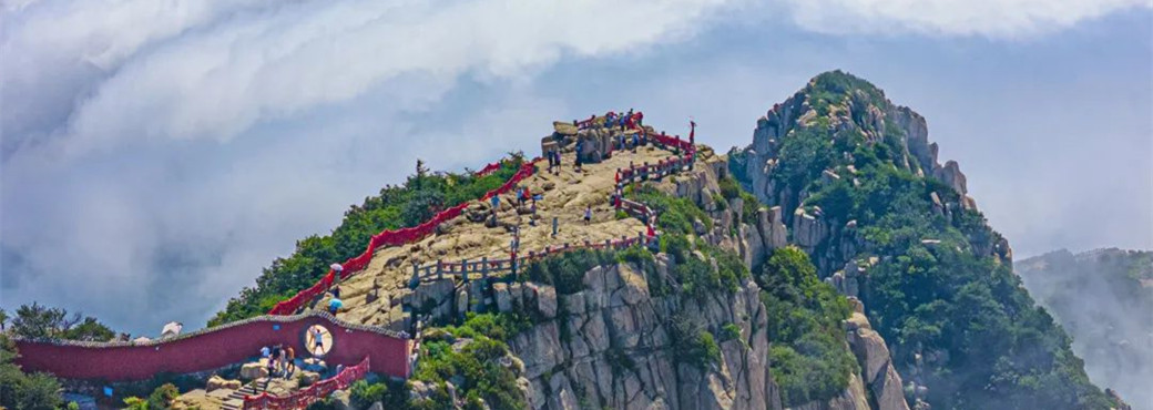 Taishan's ancient trees remain firmly rooted