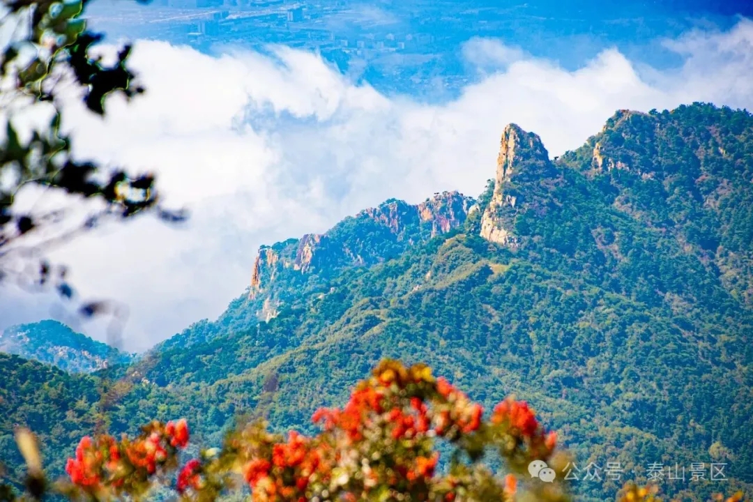 Explore Taishan Mountain's autumn splendor
