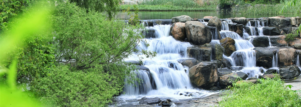 Taishan Mountain's green miracle: From barren slopes to lush canopy