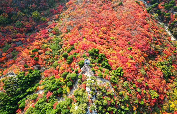 VCG111601545951 (1).jpg