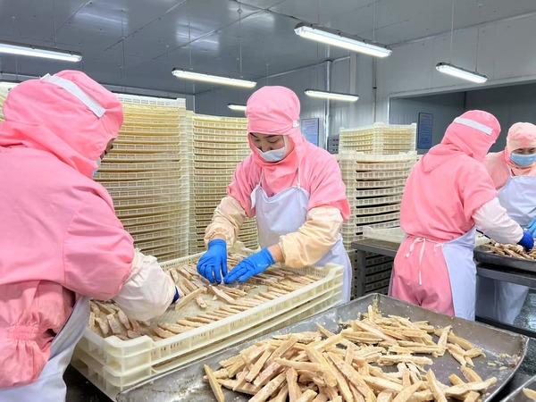 Anqiu ginger: From fields to global markets