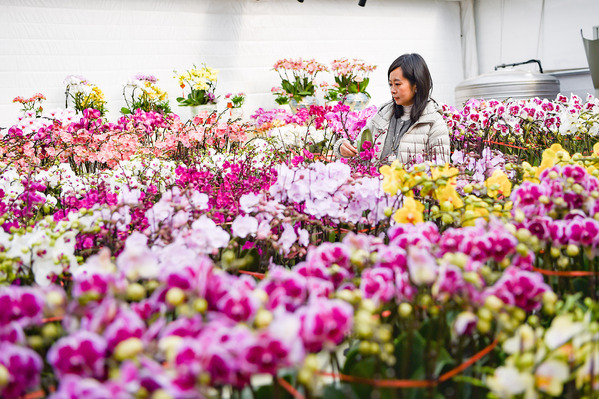 VCG111613210565 (1).jpg