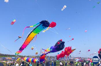 Video: Expats delight in Weifang kites