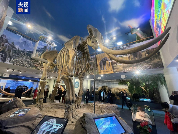 Weifang Elephant Fossil Exhibition opens to public