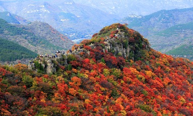 Explore Weifang's breathtaking fall foliage