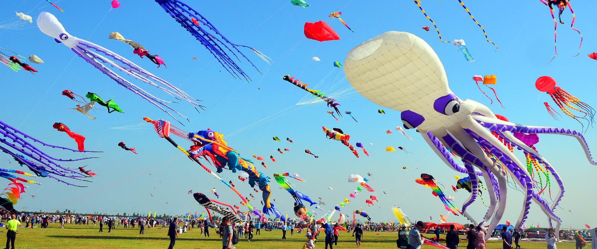 Weifang creates new wave in boosting kite culture industry