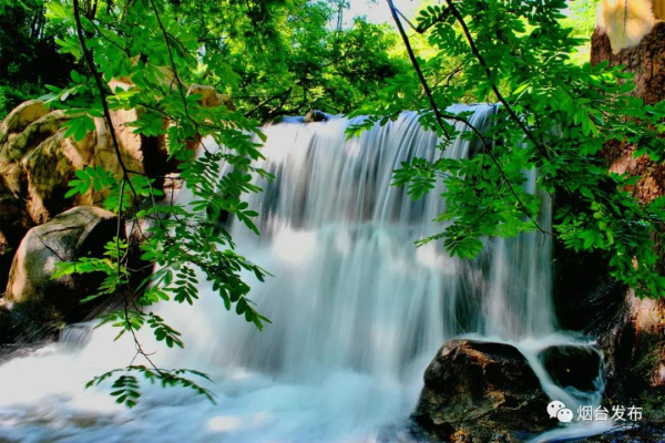 1650871600003010356.jpg 25-yt-1.jpg