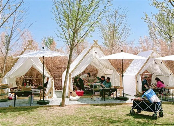 1692681855099065584.jpg 22-YT-4.jpg