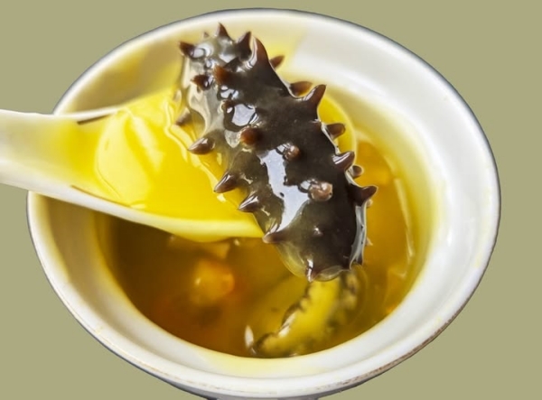 World Sea Cucumber Industry Expo to take place in Yantai