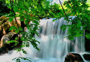 Yantai to boost spending with coupons