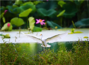 Yantai sets lofty goals for next five years