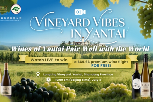 Replay: Wines of Yantai pair well with the world