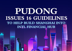 pudong guidelines.jpg