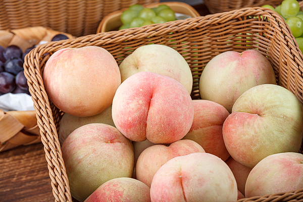 Nanhui honey peaches geographical indication passes acceptance as national protection demonstration zone