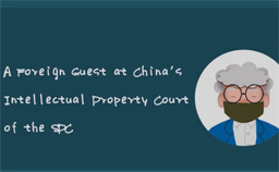 Video: A Foreign Guest at China's Intellectual Property Court of the SPC