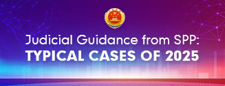 Judicial Guidance from SPP: Typical Cases of 2025