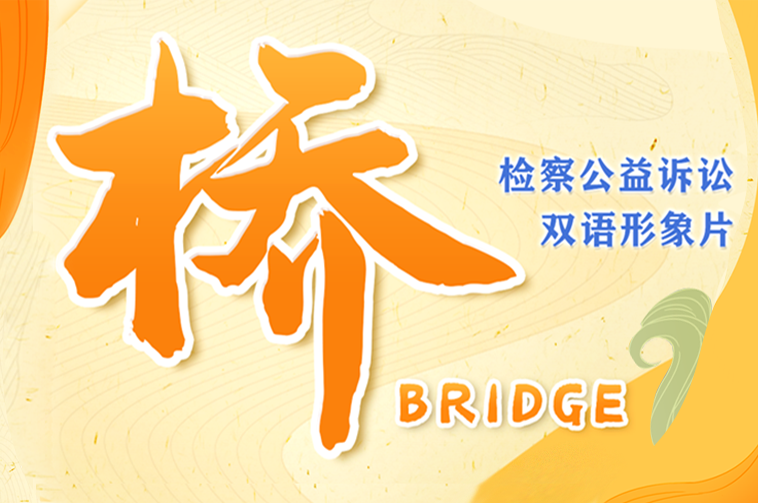 Promotional video: Bridge