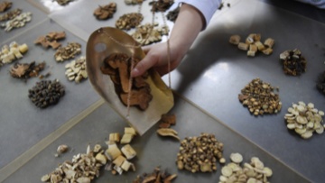 AI contributes to the modernization of traditional Chinese medicine