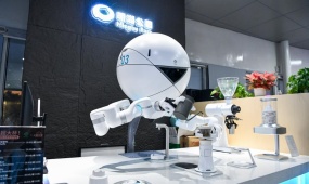 China's AI companion robots attract investor attention