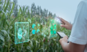 China debuts new AI model for high-standard farmland protection