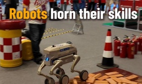 Robots horn their skills in Shanghai
