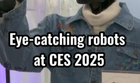 Eye-catching robots at CES 2025