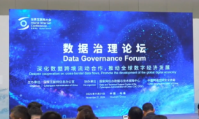 Report on promoting global data cooperation released at WIC forum